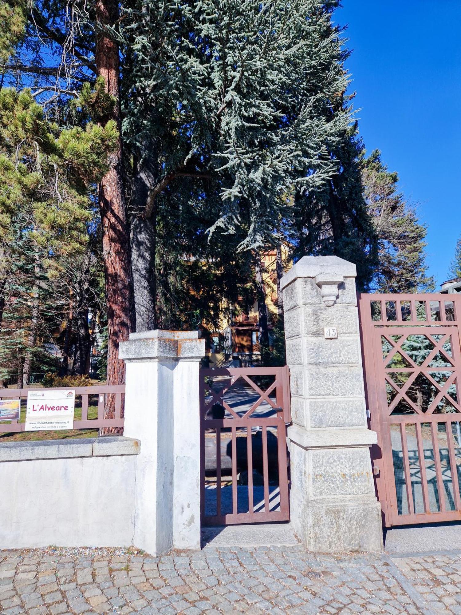 Bardonecchia Studio Apartment - Frejus Palace Eksteriør bilde